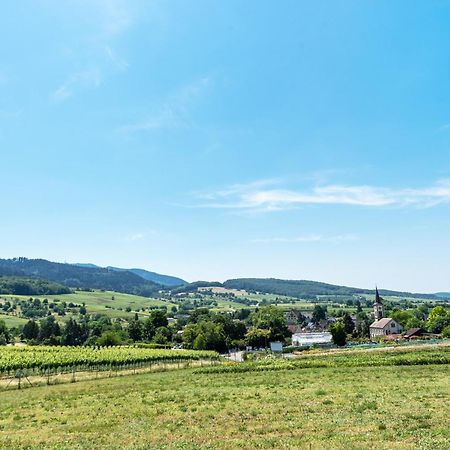 Fewo Im Lenzengarten Apartment Sulzburg Luaran gambar