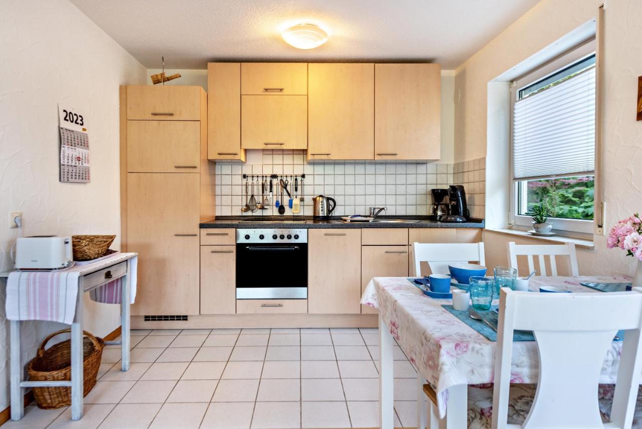 Fewo Im Lenzengarten Apartment Sulzburg Luaran gambar