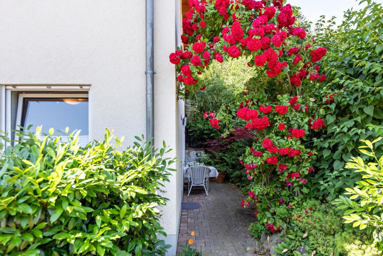 Fewo Im Lenzengarten Apartment Sulzburg Luaran gambar