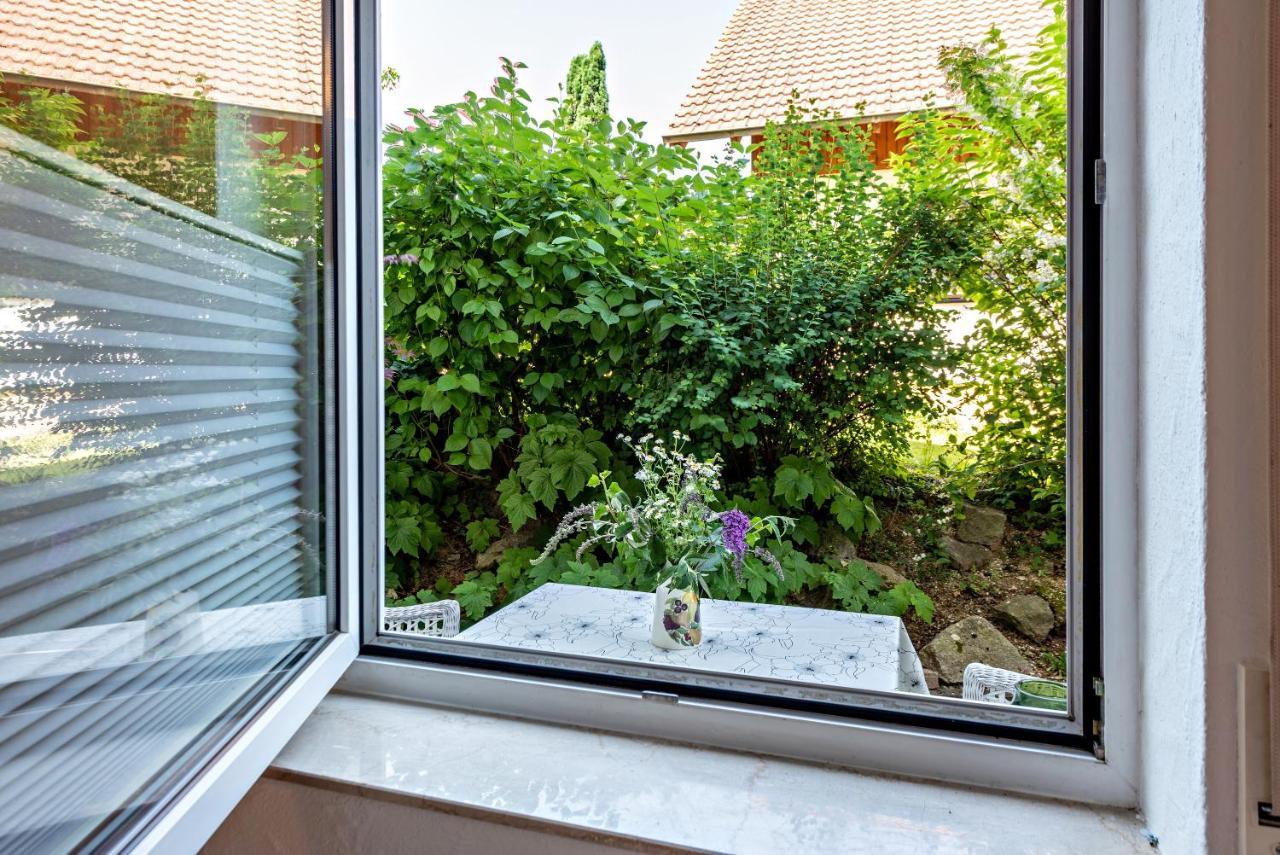Fewo Im Lenzengarten Apartment Sulzburg Luaran gambar