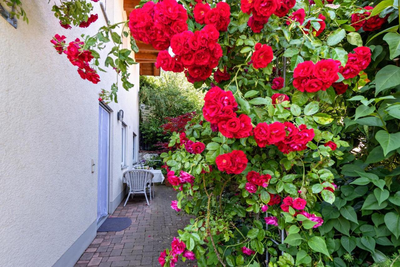 Fewo Im Lenzengarten Apartment Sulzburg Luaran gambar