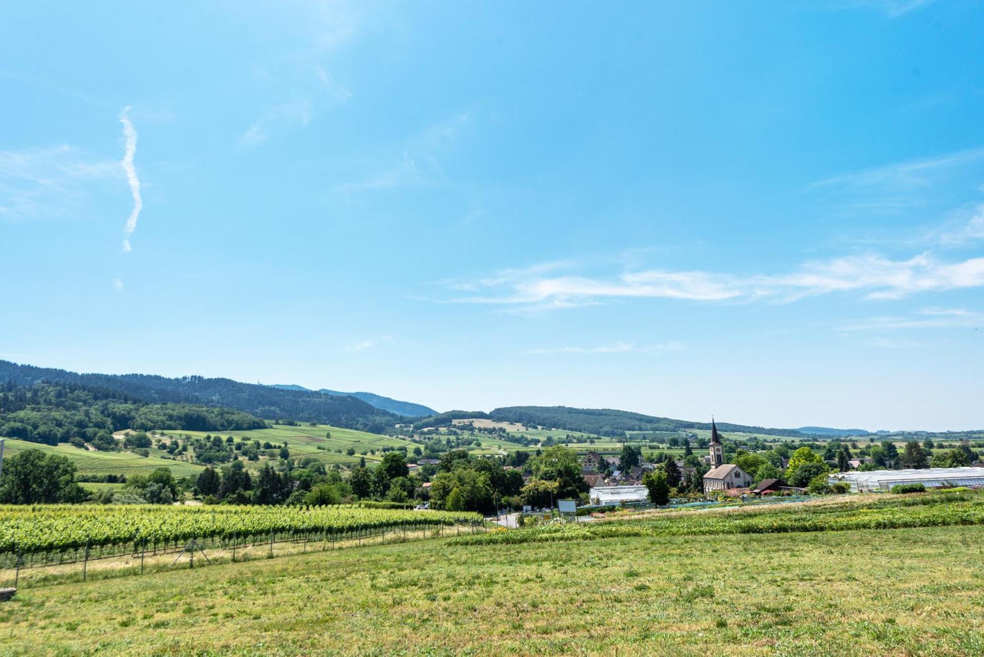 Fewo Im Lenzengarten Apartment Sulzburg Luaran gambar